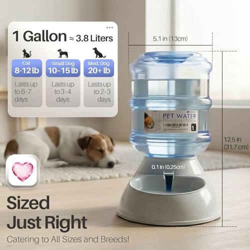 Automatic Pet Feeder & Waterer Set of 2 Pack (4-6 lb Feeder (1 Gallon) / Waterer + Feeder)