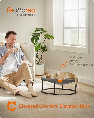 Elevated Cat Bed (20.5"L x 16.5"W x 7.9"H / 1 Tier)