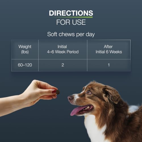 Nutramax Dasuquin Joint Supplement for Large Dogs (Large Dog 84 Count)