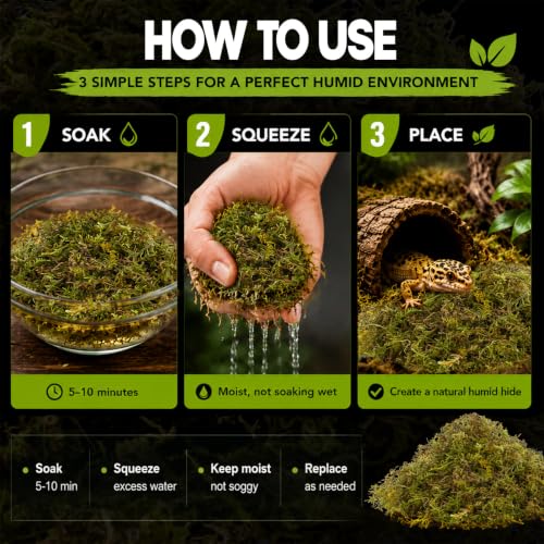 Sphagnum Moss for Reptiles (5 Ounces / Green)