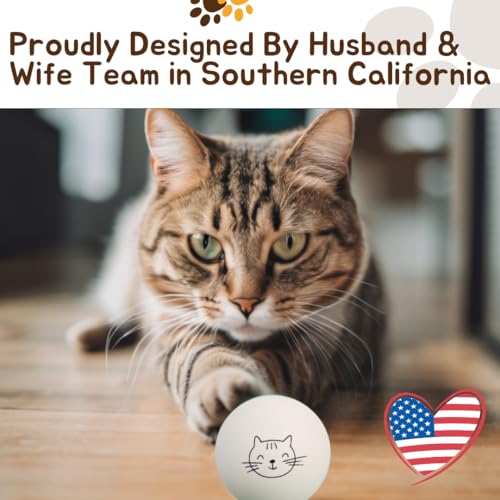 Ping Pong Balls for Cats
