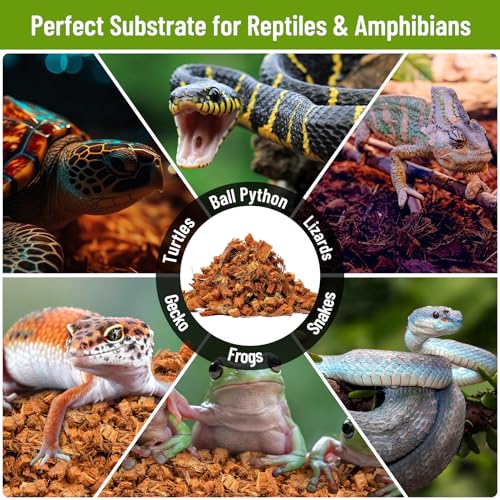 2Pack Coconut Husk Chip for Reptiles (2 Pack)
