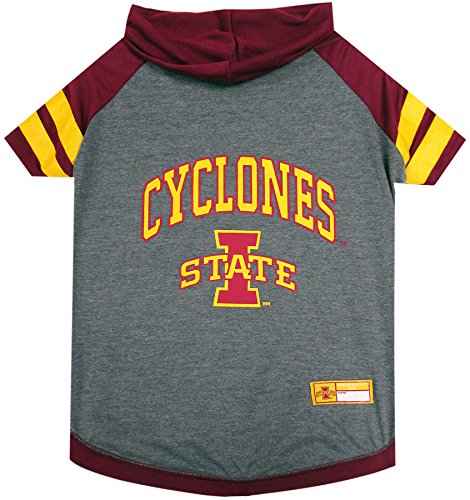 Iowa State Hoodie T (Iowa State Cyclones / X-Small)