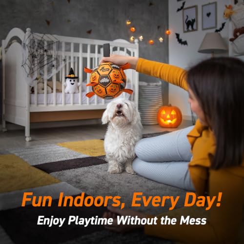 Halloween Dog Toys (Halloween / 6 Inch)