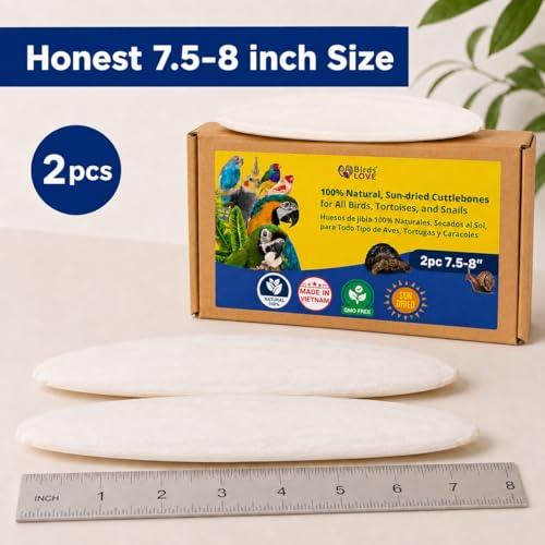 7.5 8" Cuttlebone for Birds