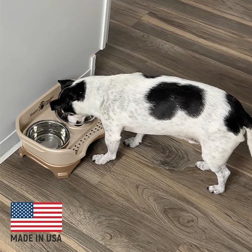 Express Mess Proof Dog Bowls Elevated for Small Breeds Under 15 Lb (Small w/ Metal Slow Feed Bowl / Cappuccino)