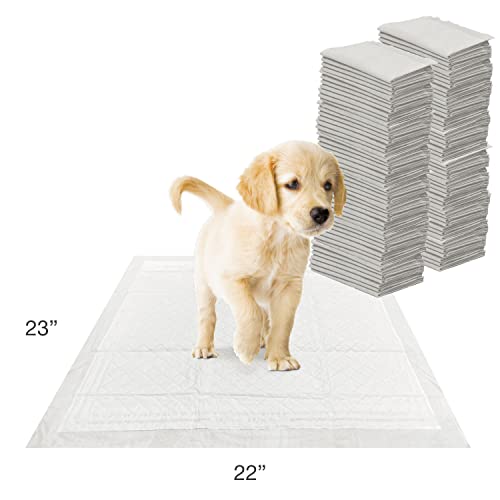 Wee Wee Super Absorbent Unscented Pee Pads for Dogs & Puppies with Insta (100 Count)