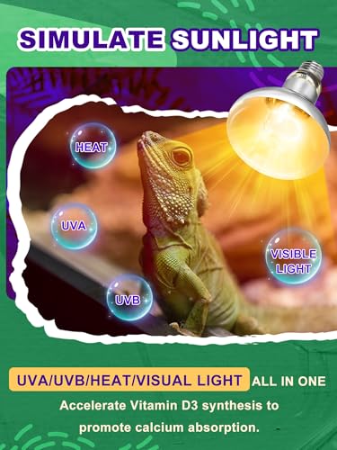 Heat Lamp Bulbs (Pack of 2 / 80 Watts)