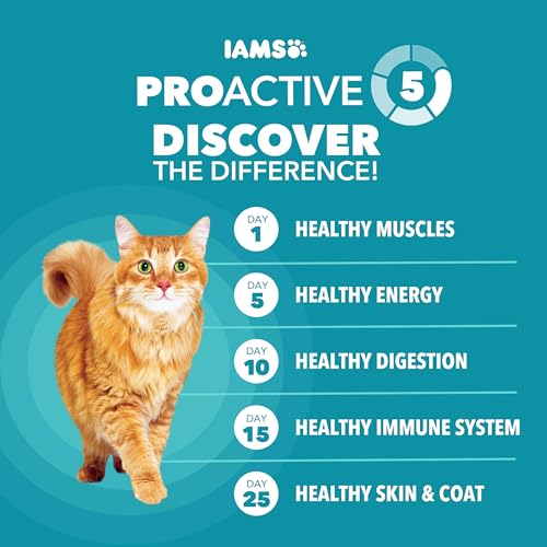 Dry Food Proactive Health Indoor Weight and Hairball Care Dry Cat Food (3.5 Pound (Pack of 1))