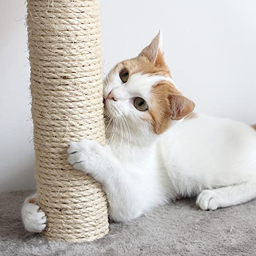 Cat Scratching Post (Gray)