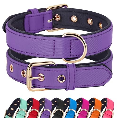 Soft Padded Dog Collars for Large Dogs (Purple / XL: Fit 17-23" Neck)