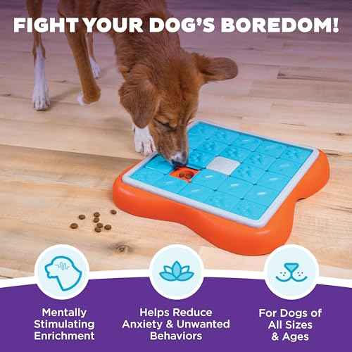 Nina Ottosson Challenge Slider Dog Toy Treat Puzzle
