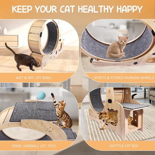 Cat Wheel 6 in