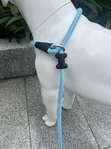 Slip Lead Dog Leash (1/2"×6ft / Light Blue)