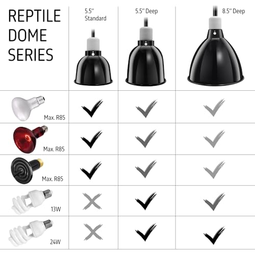 Reptile Light Fixture