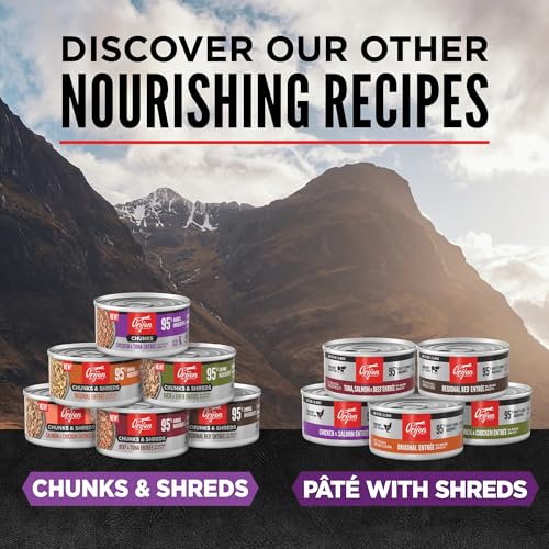 Chunks & Shreds Wet Cat Food Kitten Entrée 5.5oz Cans (5.5 Ounce (Pack of 6))