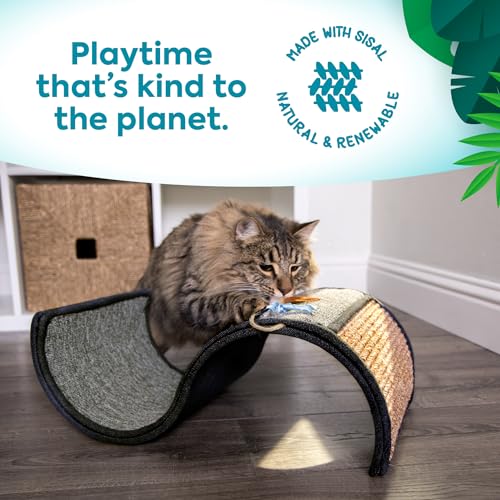 Dream Curl Carpet Cat Scratcher (One Size)