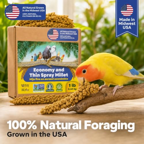 1lb Economy & Special Spray Millet for Birds (1 Pound (Pack of 1))