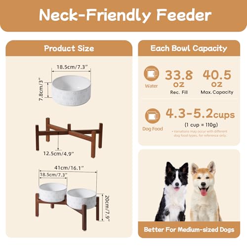 Elevated Dog Bowls (Double Bowls with Stand- Arctic White / 5CUPS)