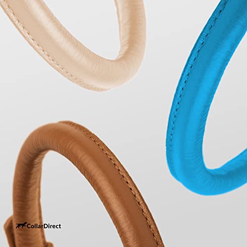 Tangle Free Rolled Leather Dog Collar