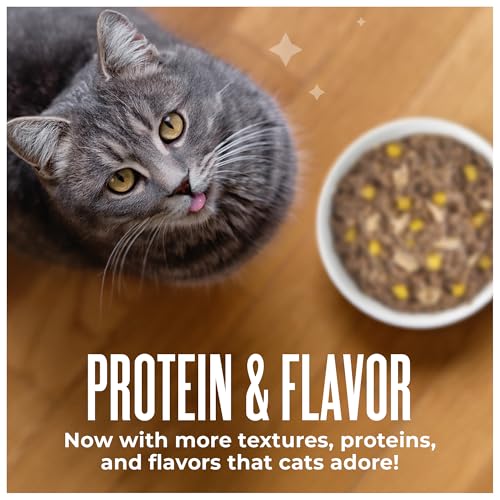 Tiki Cat Wet Cat Food Mega Pack (6.3 Pound (Pack of 1))