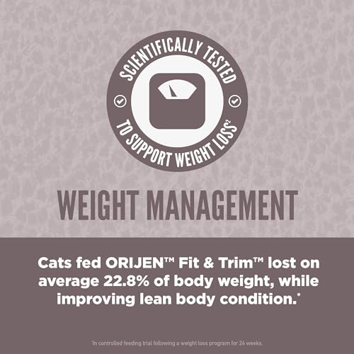 Fit & Trim Grain Free WHOLEPREY Dry Cat Food 4lb Bag (4 Pound (Pack of 1))