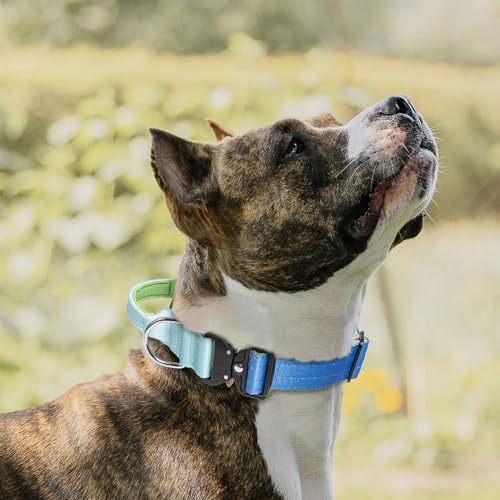 Tactical Dog Collar (Lucky Rainbow - Handle Style / L: Neck 17.5" to 24.5")