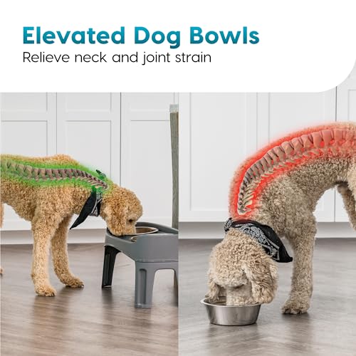 Elevated Dog Bowls (Gray)