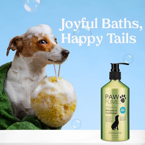 PAWFUME Dog Shampoo and Conditioner (Shampoo & Conditioner Blue Ribbon / Pack of 4)