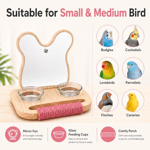 Bird Mirror with Perch and Feeder (5.9 inch)