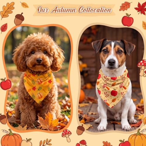 100 Pcs Fall Dog Bandanas Bulk Autumn Pumpkin Maple Leaves Pattern (19.7 x 13.8 x 13.8 Inch / Fall)