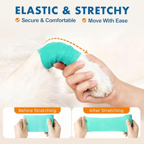 10 Rolls Self Adhesive Vet Wrap (2 Inch x 5 yards)
