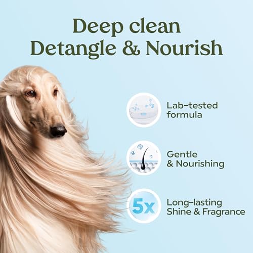 PAWFUME Dog Shampoo and Conditioner (Shampoo & Conditioner Blue Ribbon / Pack of 1)