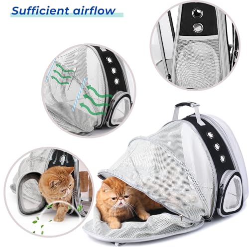 Expandable Bubble Cat Carrier Backpack (Back Expandable-Black)