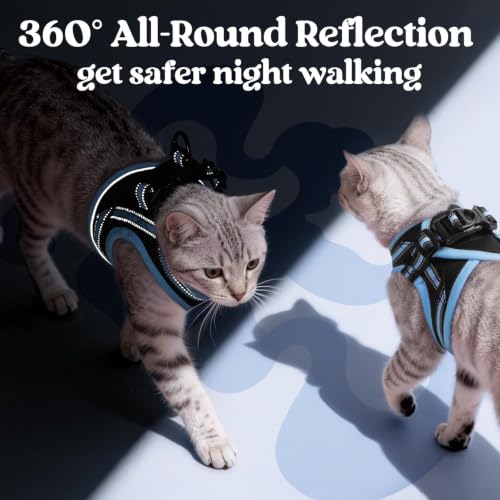 Cat Harness and Leash Set (XL / Black & Light Blue)