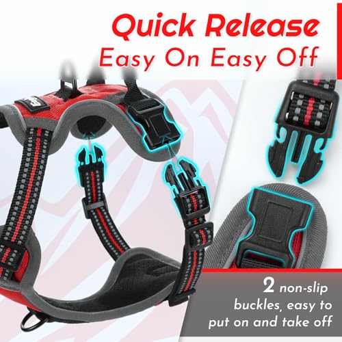 Dog Harness for Small Dogs (X-Small / Red)