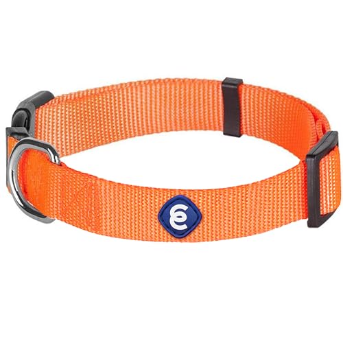 Essentials Florence Orange Adjustable Nylon Dog Collar for Small Dogs (Small / Florence Orange)