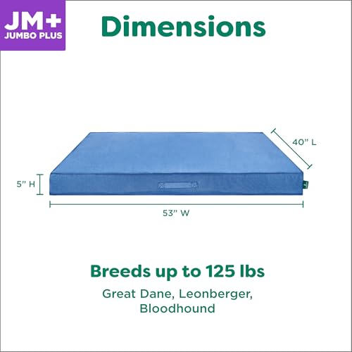 Cooling Dog Bed (Jumbo Plus / Blue)
