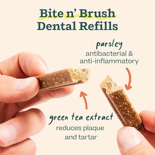 Bite n' Brush Dog Dental Sticks