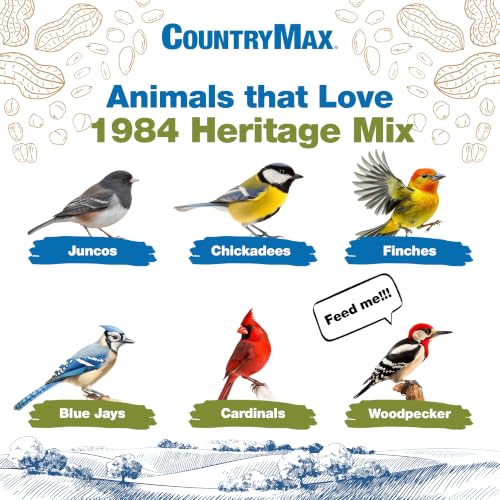 Backyard Seeds 40LB 1984 Heritage Mix Bird Seed Blend (1984 Mix / 40 Pound (Pack of 1))