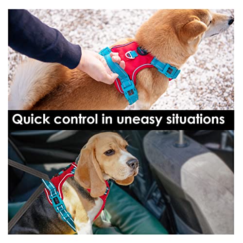 No Pull Dog Harness (Red Base & Teal Straps / Extra Small)