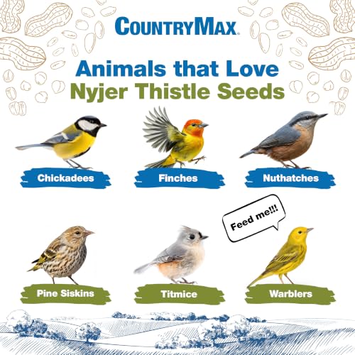 CountryMax 3LB Nyjer Seed for Finches & Songbirds