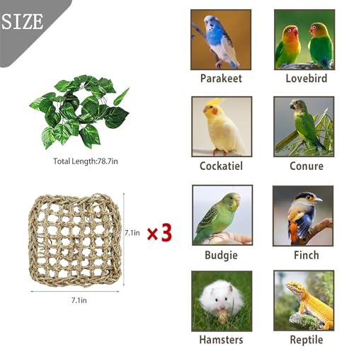 3 PCS Parrot Seagrass Mat