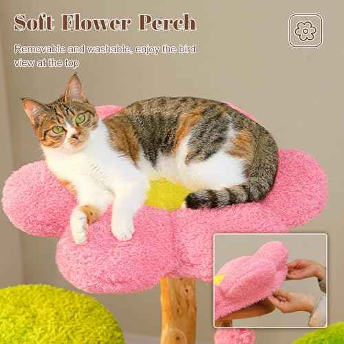 53.5" Flower Cat Tree for Multi (Forest Brown)