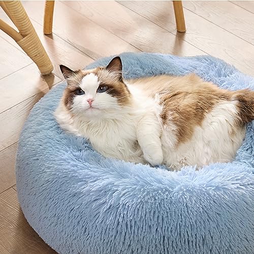 Calming Cat Beds Donut Round Washable Kitten Bed (20"L x 20"W x 6"Th / Light Blue)