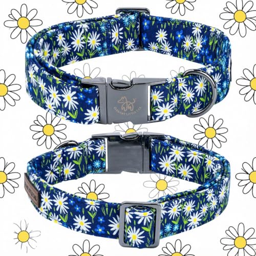 Blue Dog Collar (Daisy / X-Small (Pack of 1))