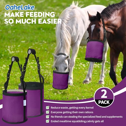 Horse Feed Bag 2 Pcs (2 Pcs Purple)