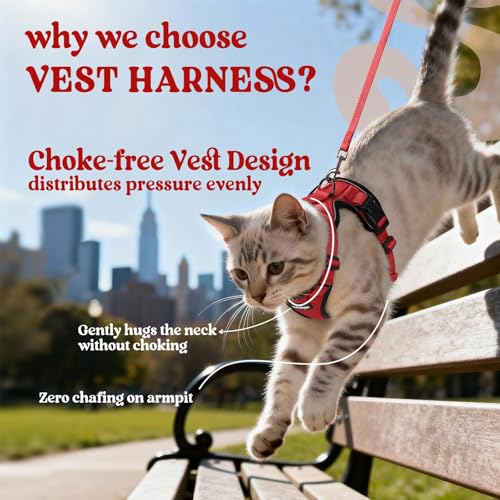 Cat Harness and Leash Set (Xxs / Red)