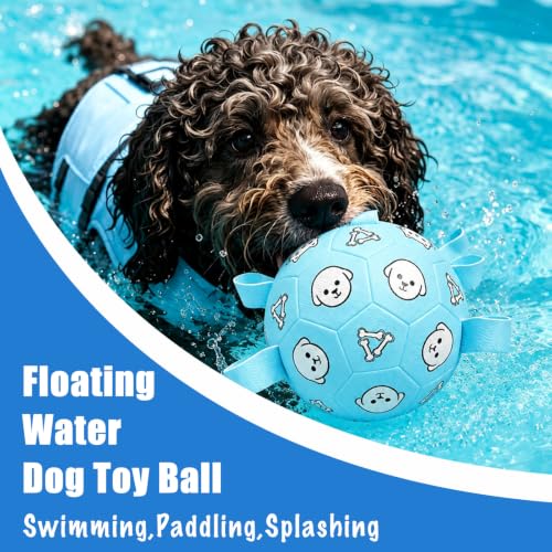Dog Soccer Ball with Straps (Pale Blue / Medium-6 Inch)