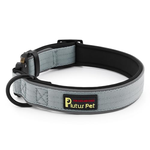 Tactical Dog Collar (S / Grey)